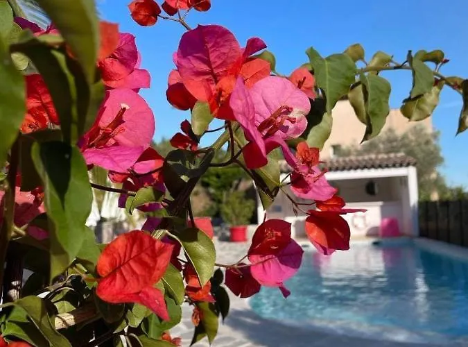 Maxima Sunset סן-מקסים