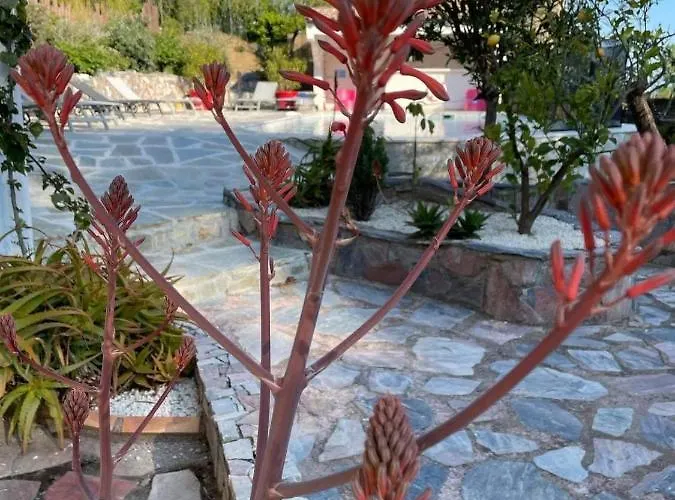 Maxima Sunset Lägenhet Sainte-Maxime