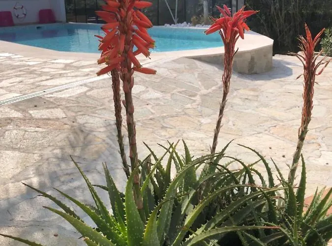 Maxima Sunset Lägenhet