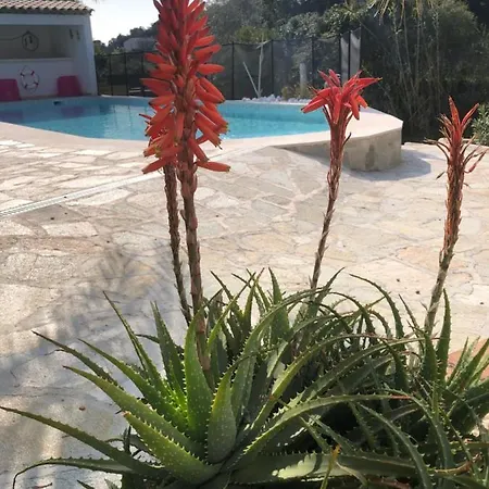 Maxima Sunset Apartment
